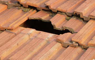 roof repair Monmarsh, Herefordshire